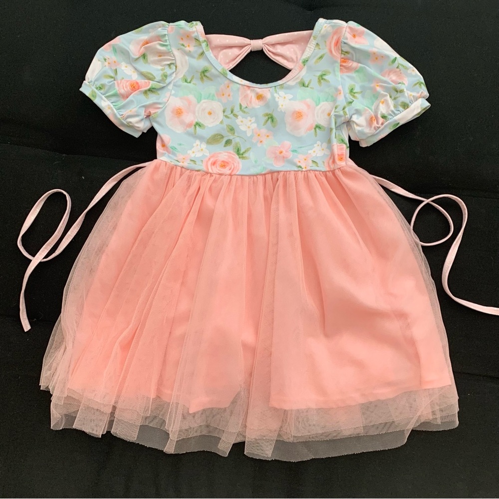 Eliza Cate 5t Floral Pink Tulle Dress